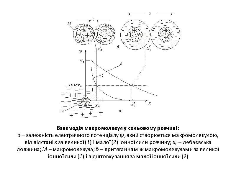 Взаємодія макромолекул у сольовому розчині: а – залежність електричного потенціалу , який створюється макромолекулою,